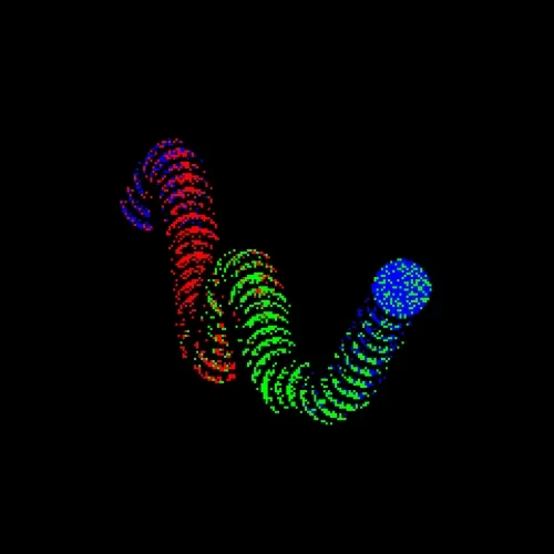 Neo Squiggle #1715