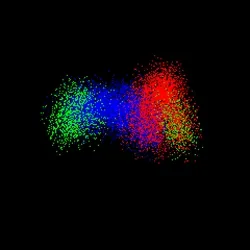 Neo Squiggle #101