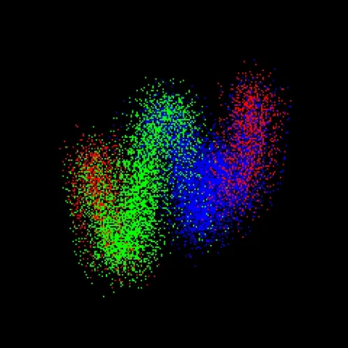 Neo Squiggles
