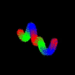 Neo Squiggle #1682