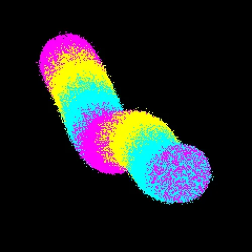 Neo Squiggles