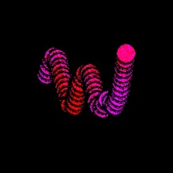 Neo Squiggle #1899