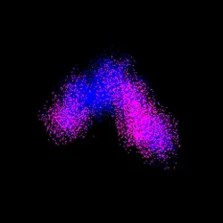 Neo Squiggle #3816