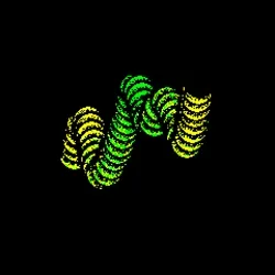 Neo Squiggle #651
