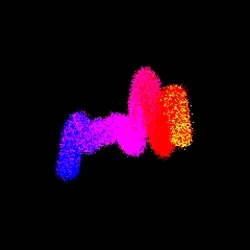 Neo Squiggle #330