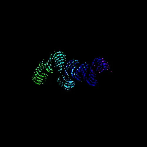 Neo Squiggles