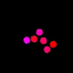 Neo Squiggle #1138