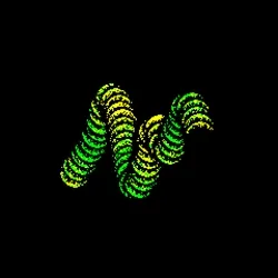 Neo Squiggle #2332