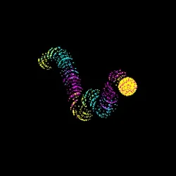 Neo Squiggle #4505
