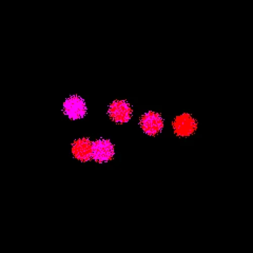 Neo Squiggles