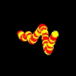Neo Squiggle #662