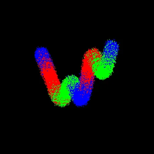 Neo Squiggle #2491