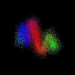 Neo Squiggle #2528