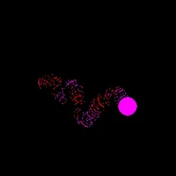 Neo Squiggle #3880