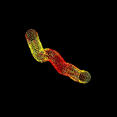 Neo Squiggles