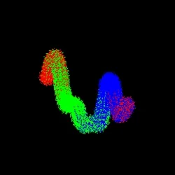 Neo Squiggle #4165