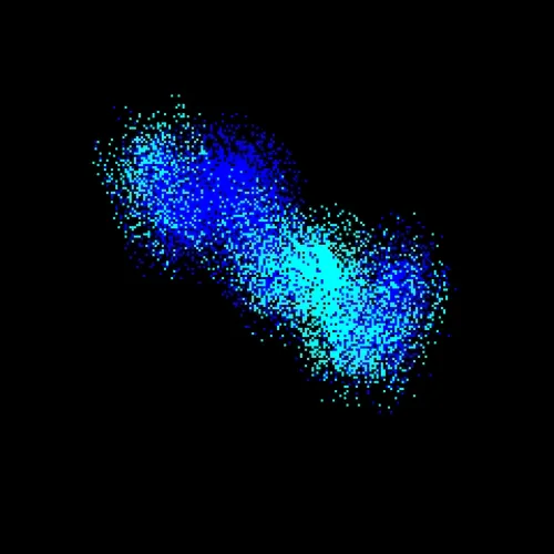 Neo Squiggles