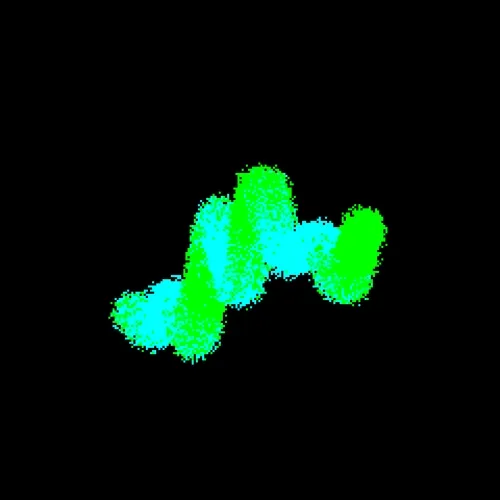 Neo Squiggles