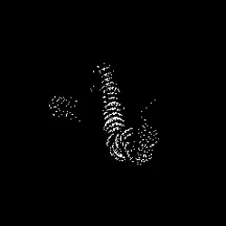Neo Squiggle #824