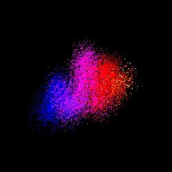 Neo Squiggle #1713