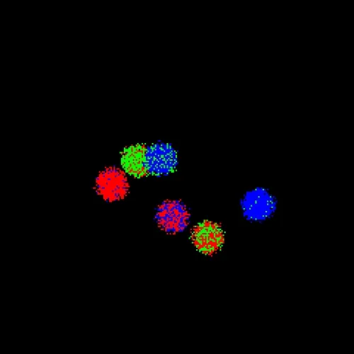 Neo Squiggle #2840