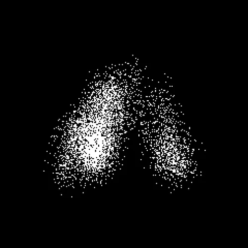 Neo Squiggles
