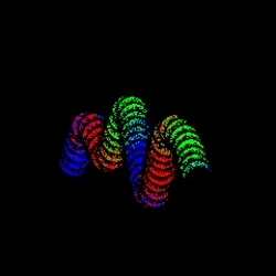 Neo Squiggle #837
