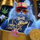 funky cat