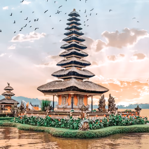 Bali vibes #19