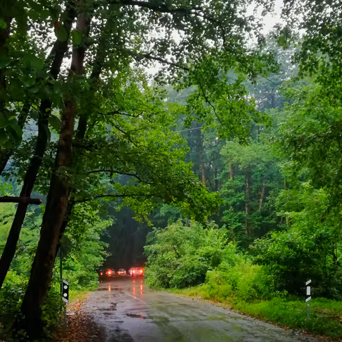Rainy Day 37