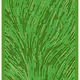 152