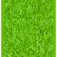67
