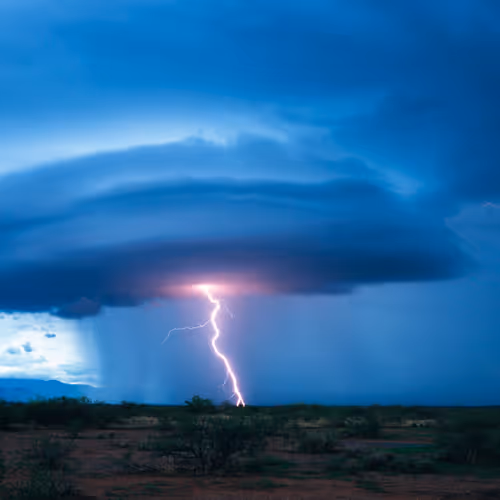 Cody Mayer Base 1/1s