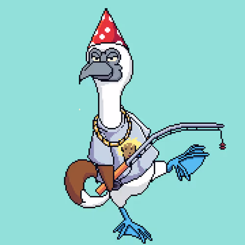 Booby 8