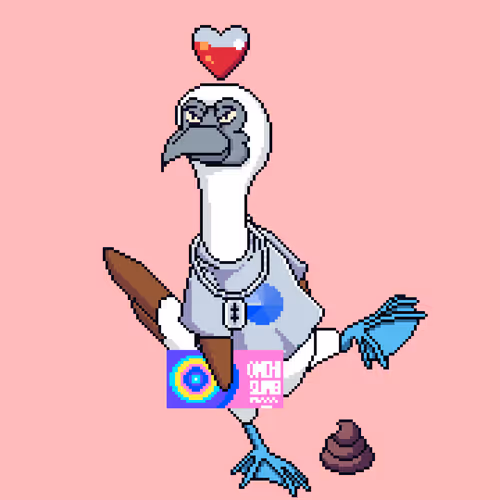 Booby 8