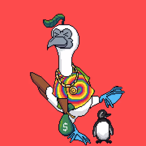 Booby 8