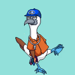 252