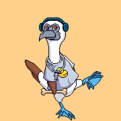 Booby 8