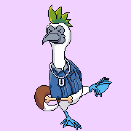 Booby 8
