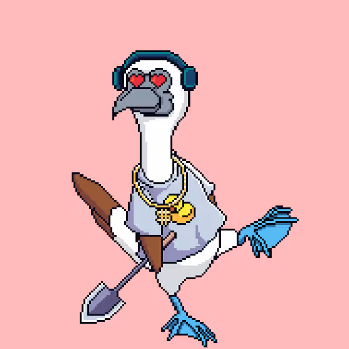 Booby 8