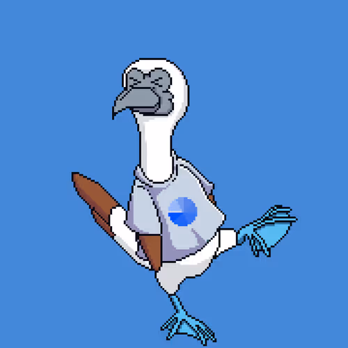 Booby 8