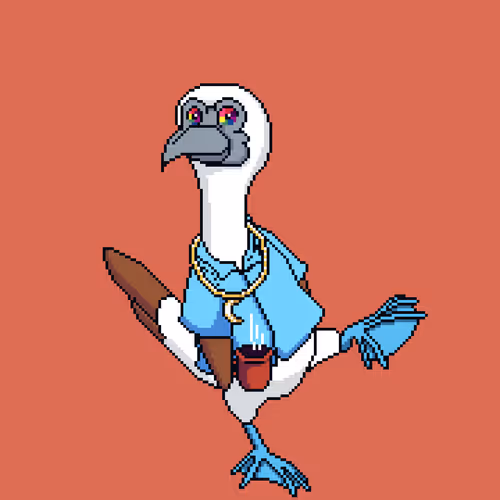 Booby 8