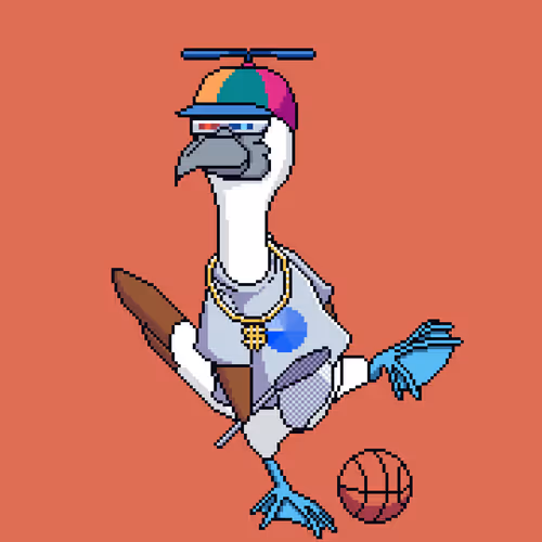Booby 8