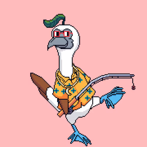 Booby 8