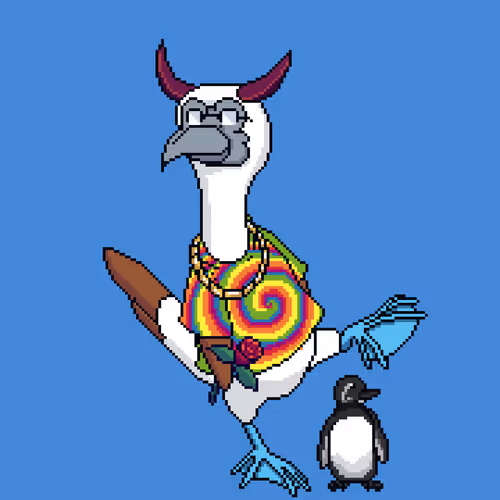 Booby 8