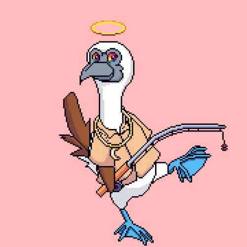 Booby #1383