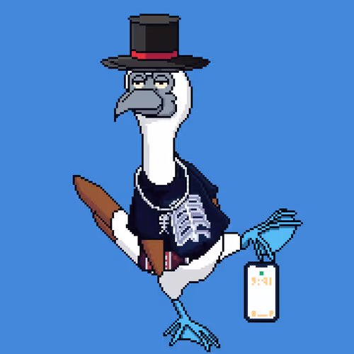 Booby 8
