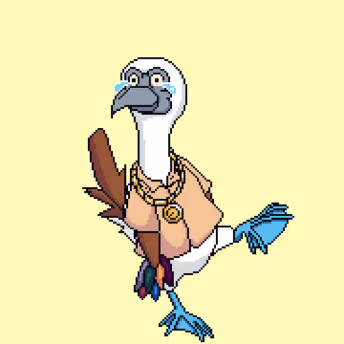 Booby 8