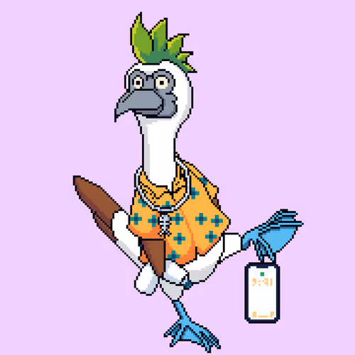 Booby 8