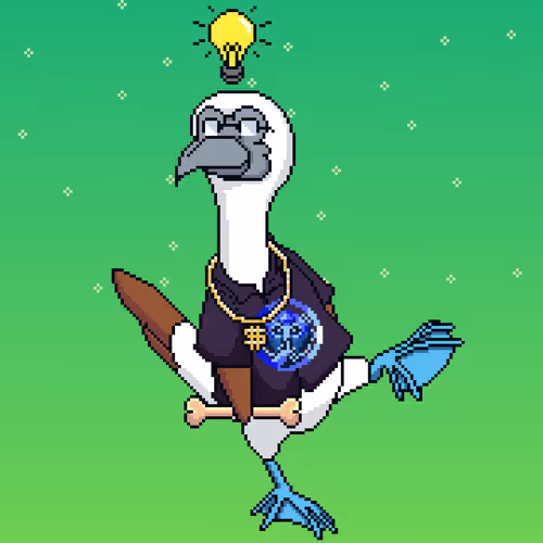 Booby 8